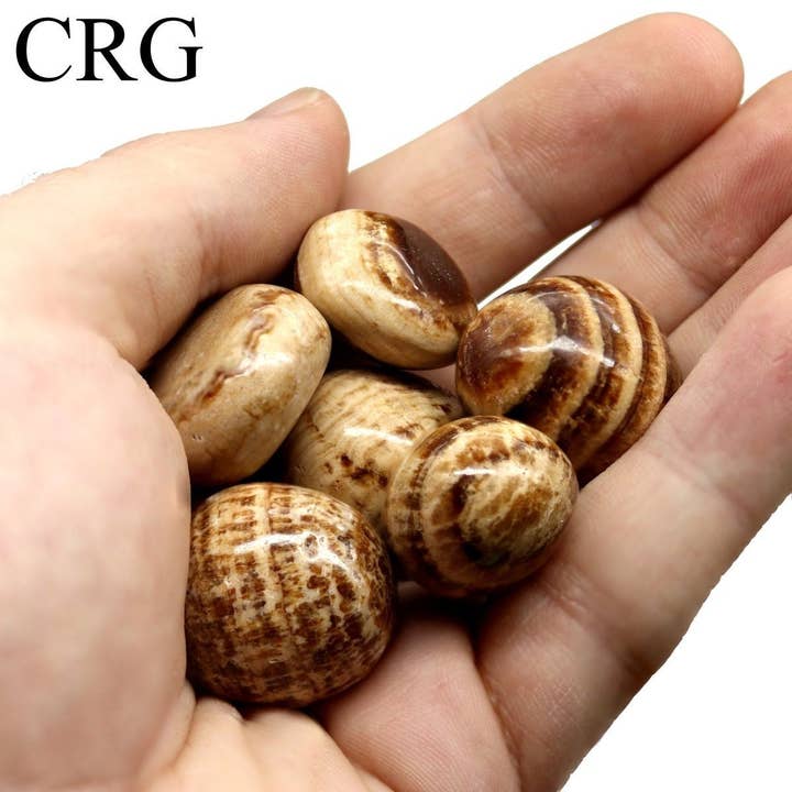 Crystal River Gems LLC – wholesale Andlig sten/kristall – Aragonit slipade stenar (storlek 20 till 35 mm) stort grossistparti kristaller och mineraler2