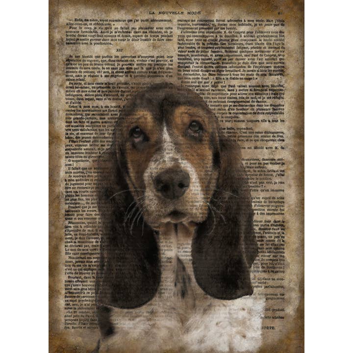 The Shizzle Print Co - Vendita all'ingrosso Cartelli - Targa da parete in metallo vintage Basset Hound 25,4 x 20,3 cm