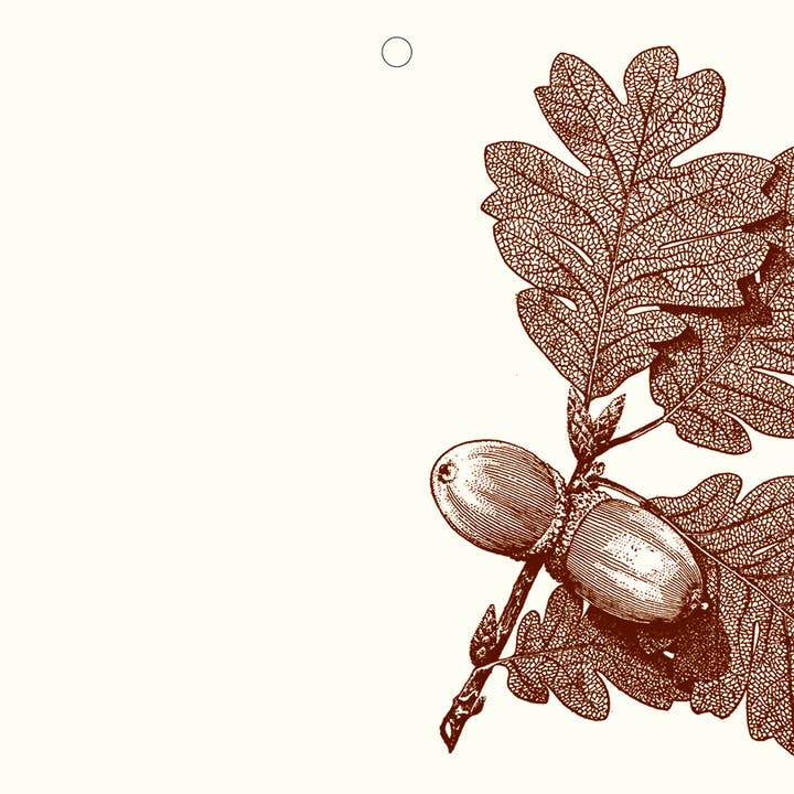 Alexa Pulitzer – Großhandel Geschenkanhänger – Acorn Geschenkanhänger