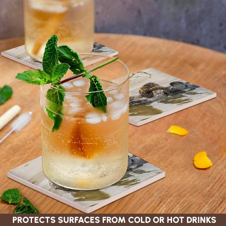 3dRose - Wholesale Coasters - 3dRose, California, Morro Bay. Sea otter mother and pup in water., Coaster2