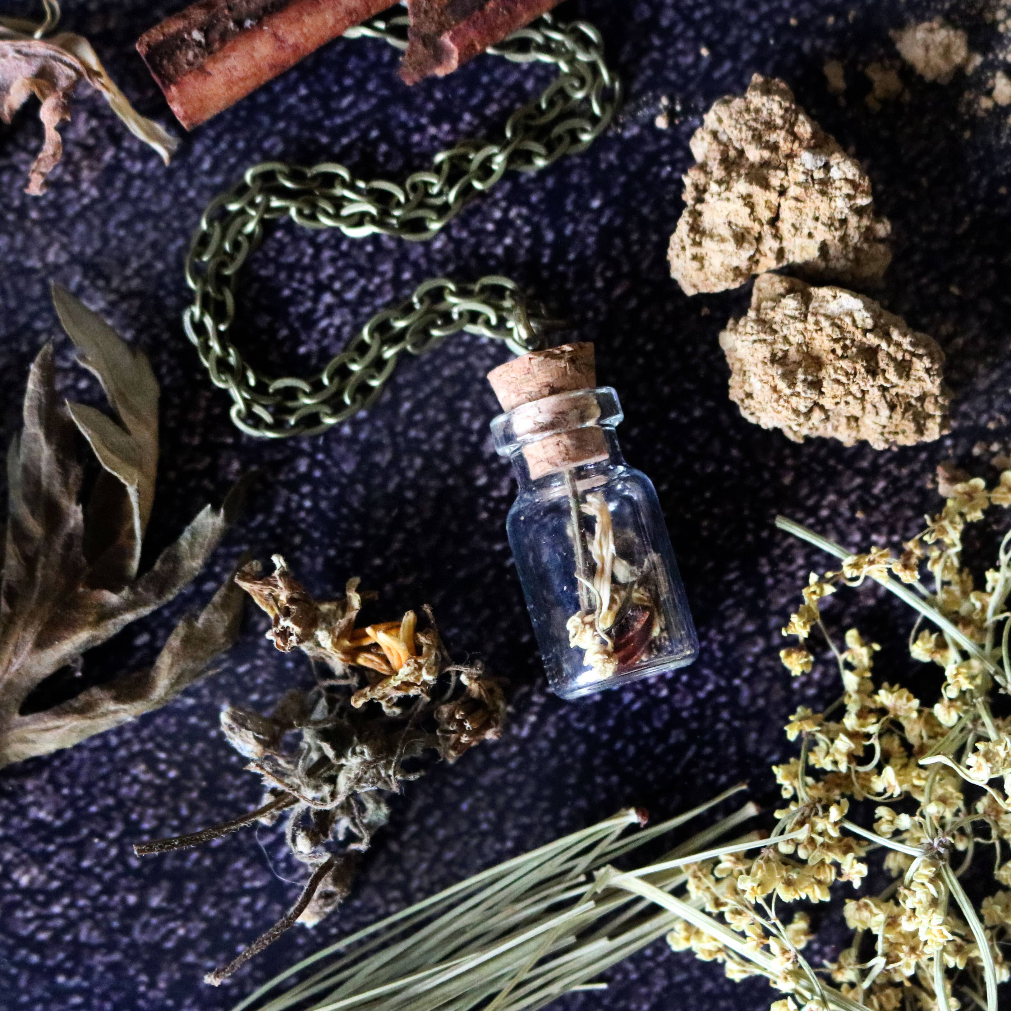 Brainmeats Atelier - Wholesale Pendant/Charm Necklace - Transformation Amulet – Personal Growth Talisman w/ Monarch5