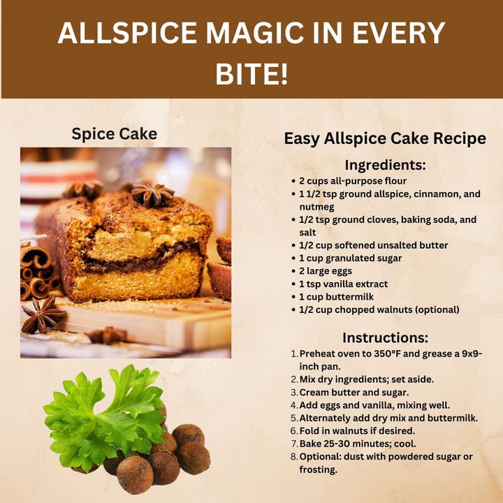 SPICY ORGANIC - Wholesale Dried Spice - Organic Allspice Whole Berries- Certified USDA organic- Allspice Seasoning for Baking, Marinades, Pickling, Stews, Sauces, and Beverages