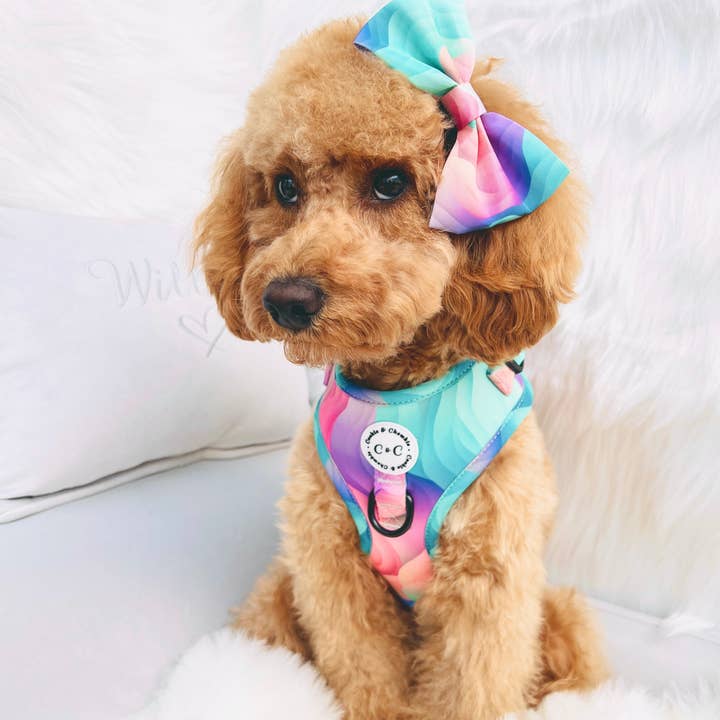 Cookie and Chewkie – Engroshandel Kæledyrsbutterfly – Hund – Sløjfe - 'Vindens farver'