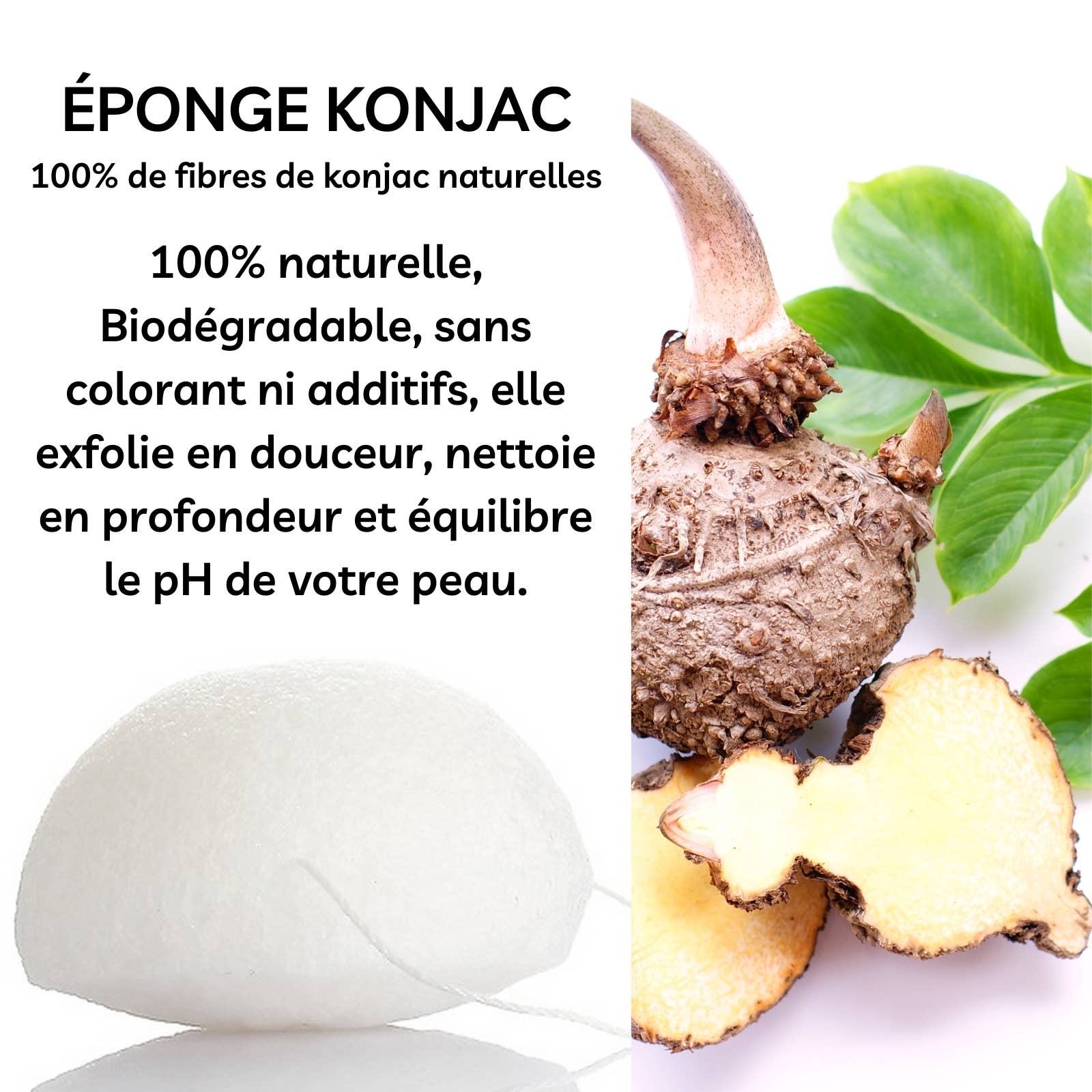 Zen'Arôme - Wholesale Makeup Sponge/Blender - 100% Natural Konjac Sponge special Eyes Nature1