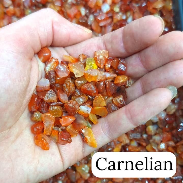 The Psychic Tree – wholesale Jar/filled candle – Pine Tree Fragrance - Create Your Own Candle14