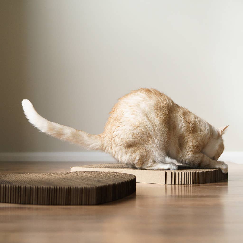 Americat Company - Wholesale Pet Scratcher - Cat - Eco-friendly, Made in USA Cat Scratching Pads3