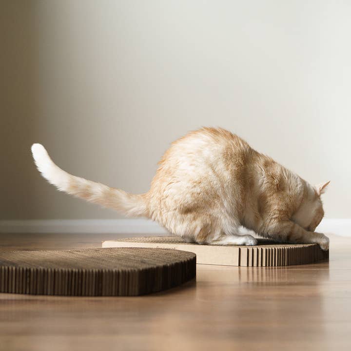 Americat Company - Wholesale Pet Scratcher - Cat - Eco-friendly, Made in USA Cat Scratching Pads3