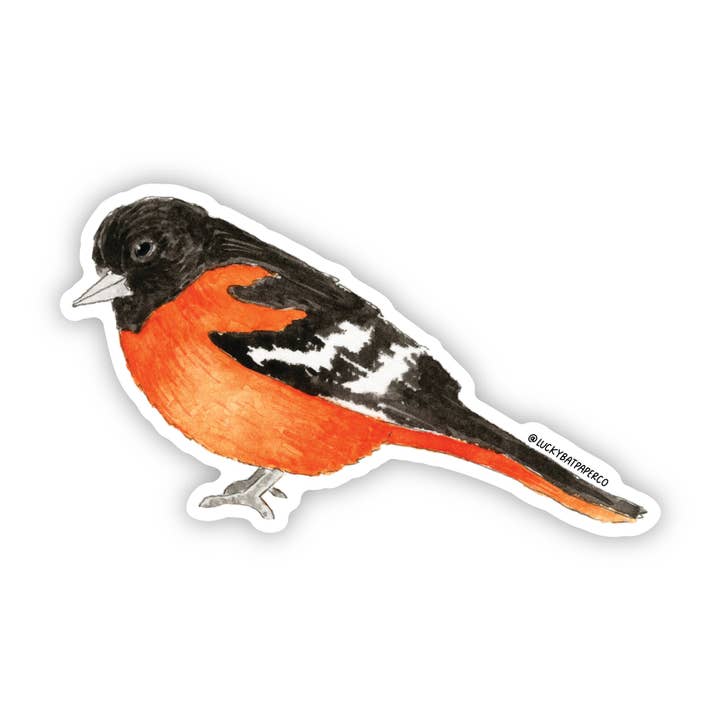 Baltimore Oriole klistermærke for engroshandel hos Lucky Bat Paper Co.