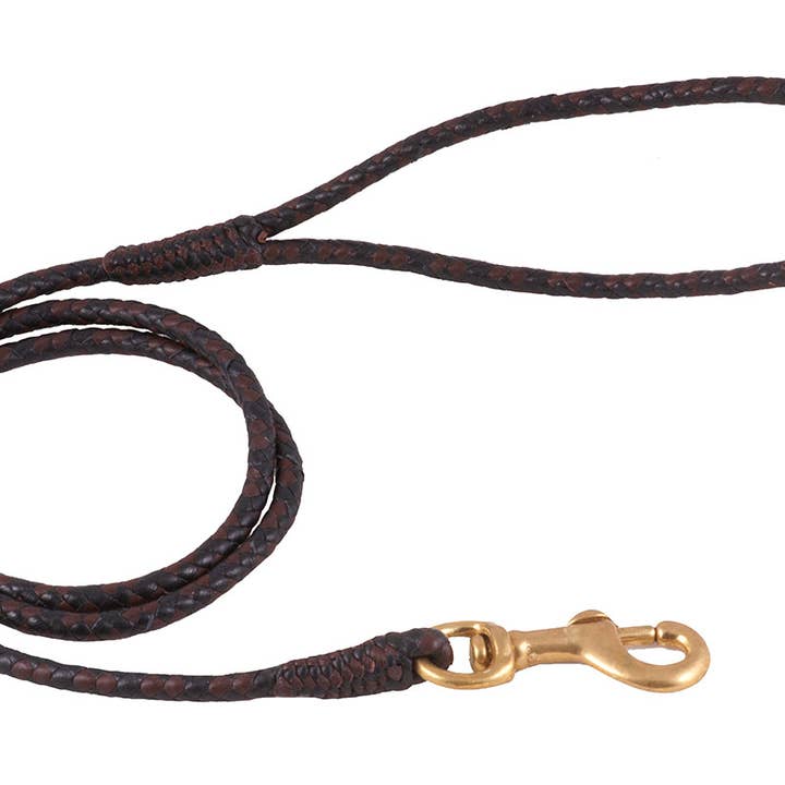 Alvalley - Wholesale Pet Leash - Dog - Braided Leather Snap Leads57