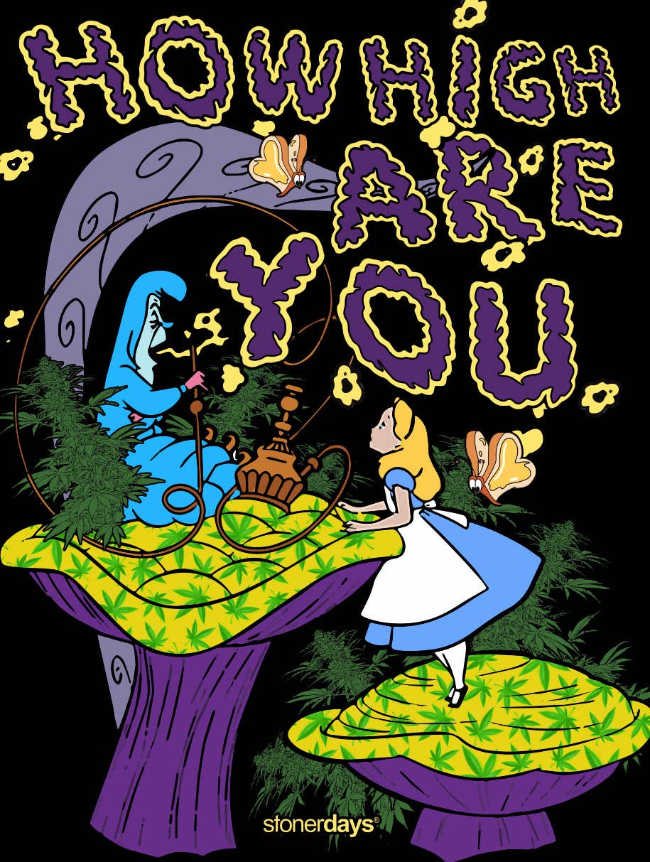 StonerDays Apparel - Wholesale Hoodie - Unisex - We're All Mad Here Hoodie11