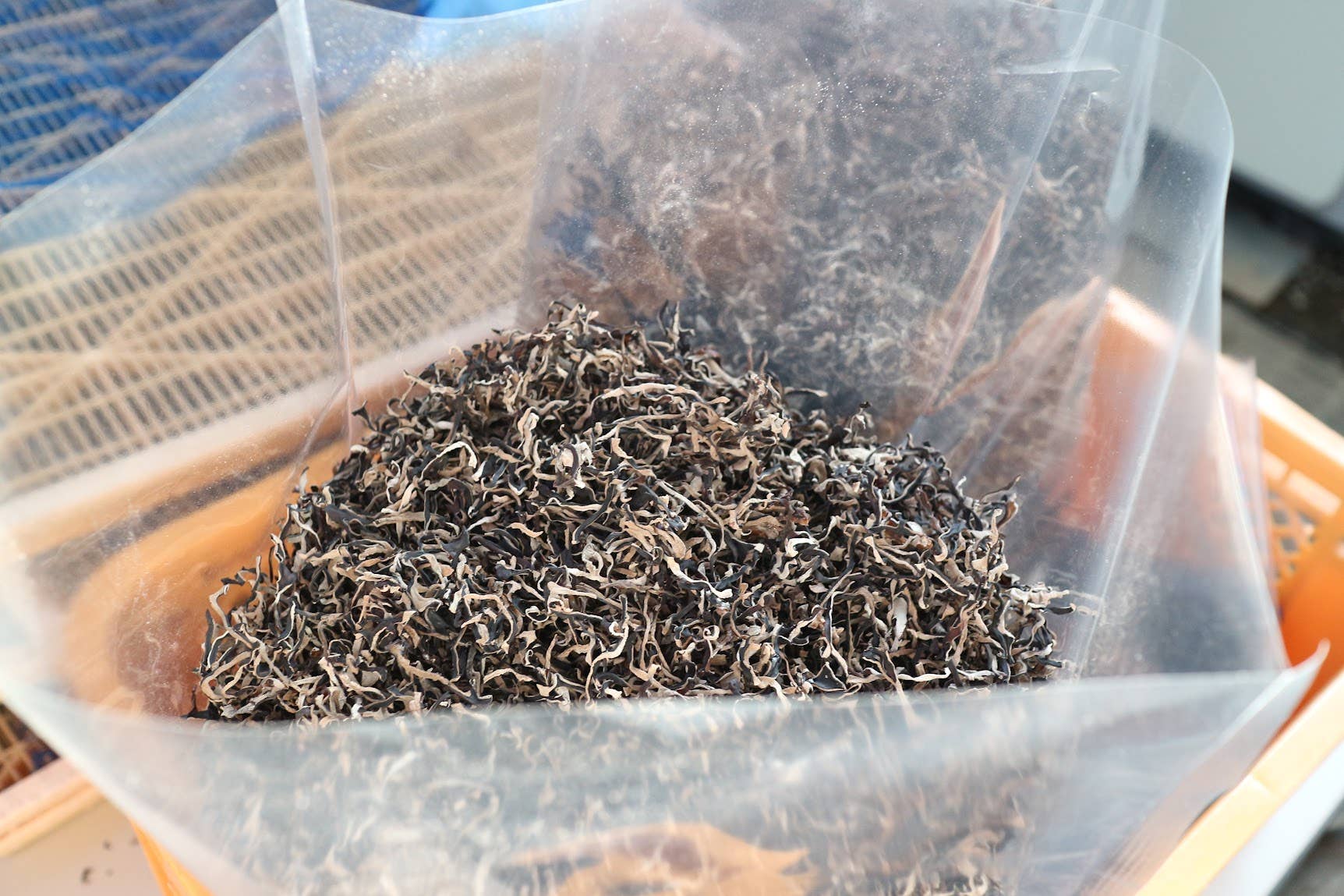 Japan Artisans - Wholesale Dried/dehydrated vegetables - Kasugai-Dried Wood Ear Mushrooms 14g – Organic - Japan17