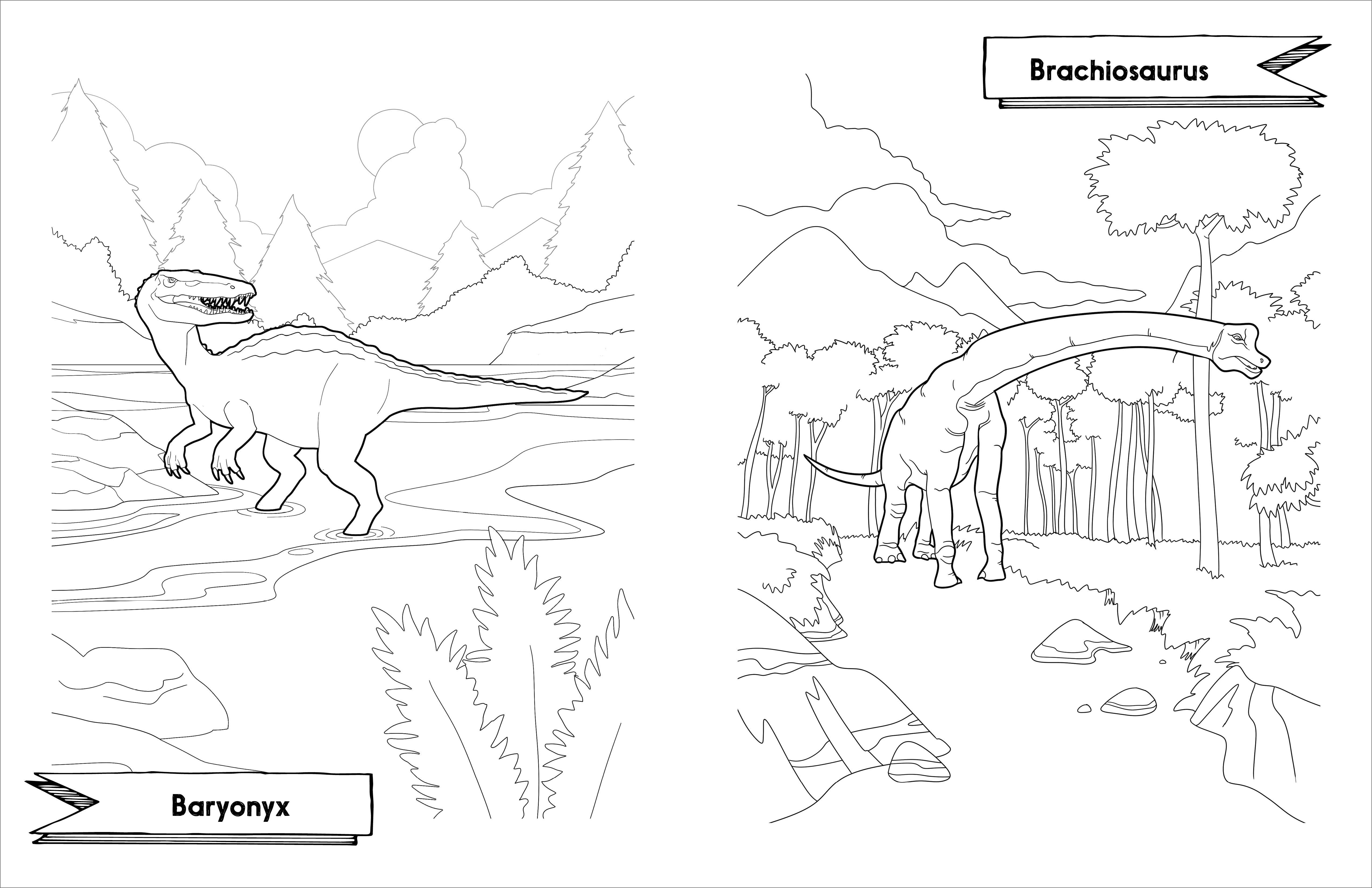 Sourcebooks - Wholesale Coloring & Activity Book - Kids & Baby - Awesome Dinosaurs Coloring Book for Kids2