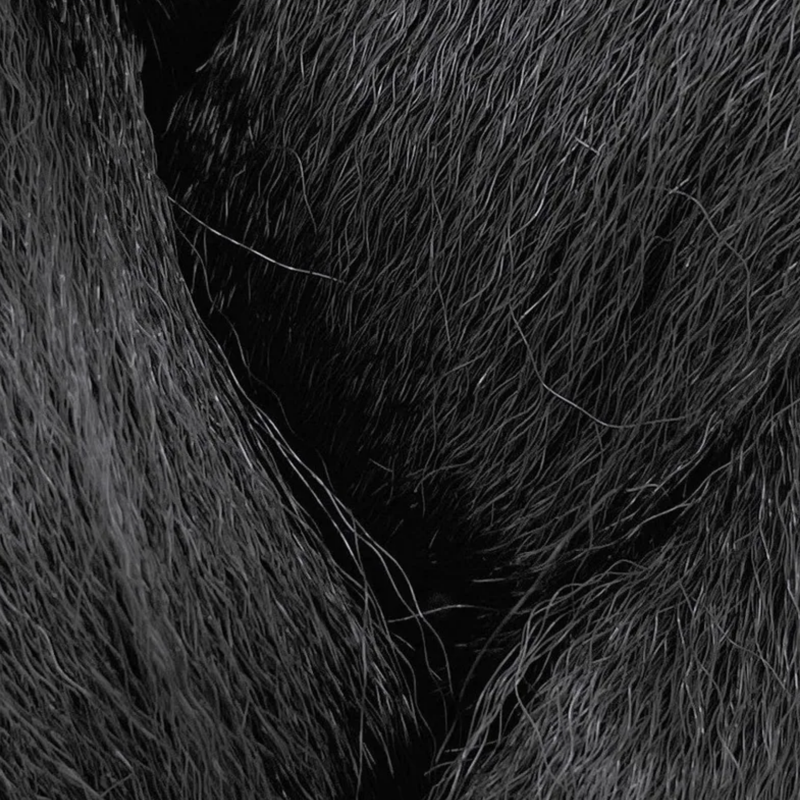 JS ORGANICS - Wholesale Hair Extensions - Naba Collections - Pre-Stretched Braid 46"3