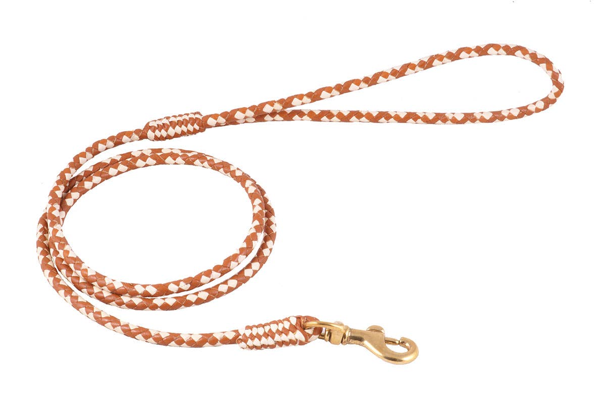 Alvalley - Wholesale Pet Leash - Dog - Braided Leather Snap Leads114