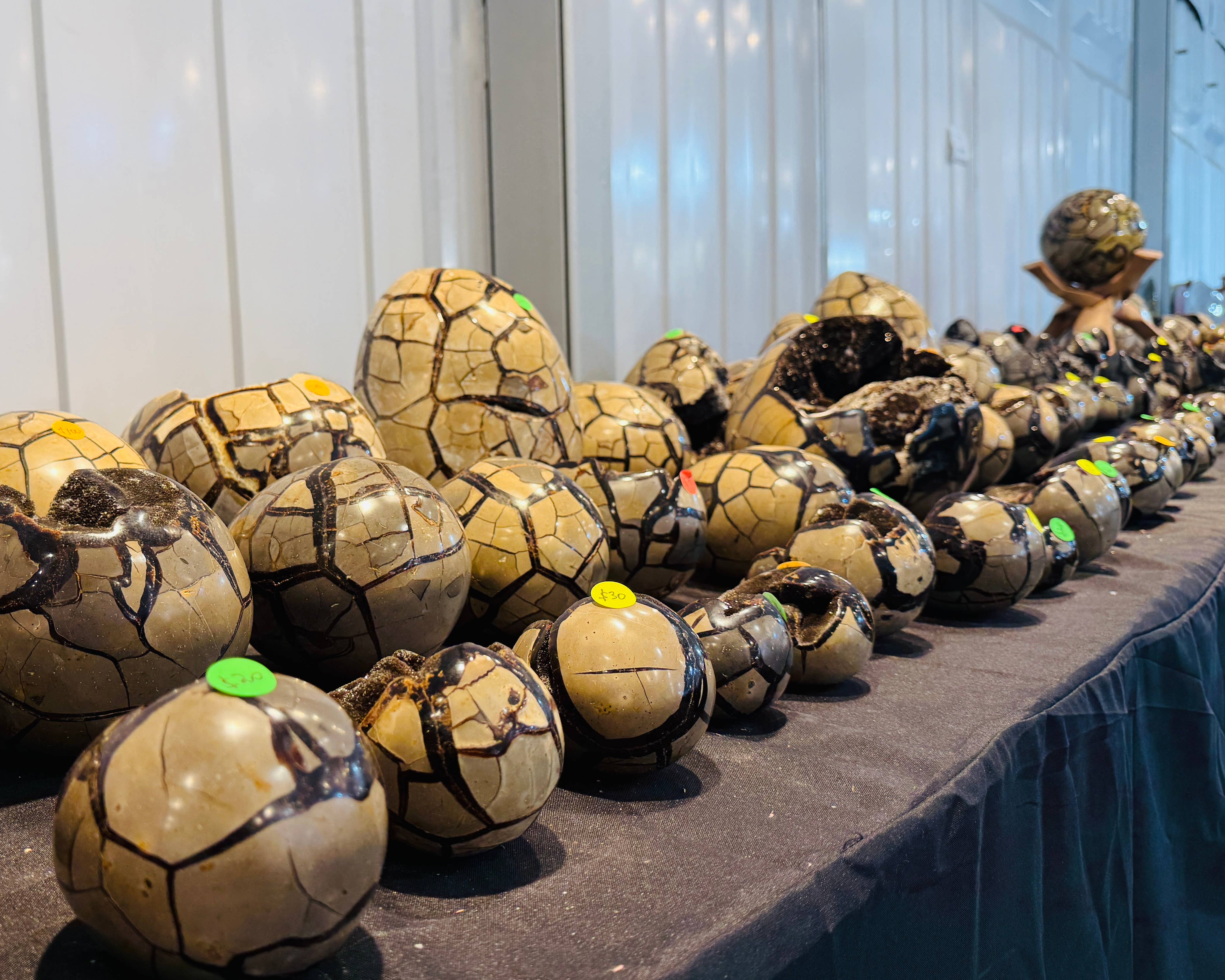 Kreateur Miami - Wholesale Spiritual Stone/Crystal - Septarian Dragon Stone Egg Geodes – 5 KG Mixed Lot 4