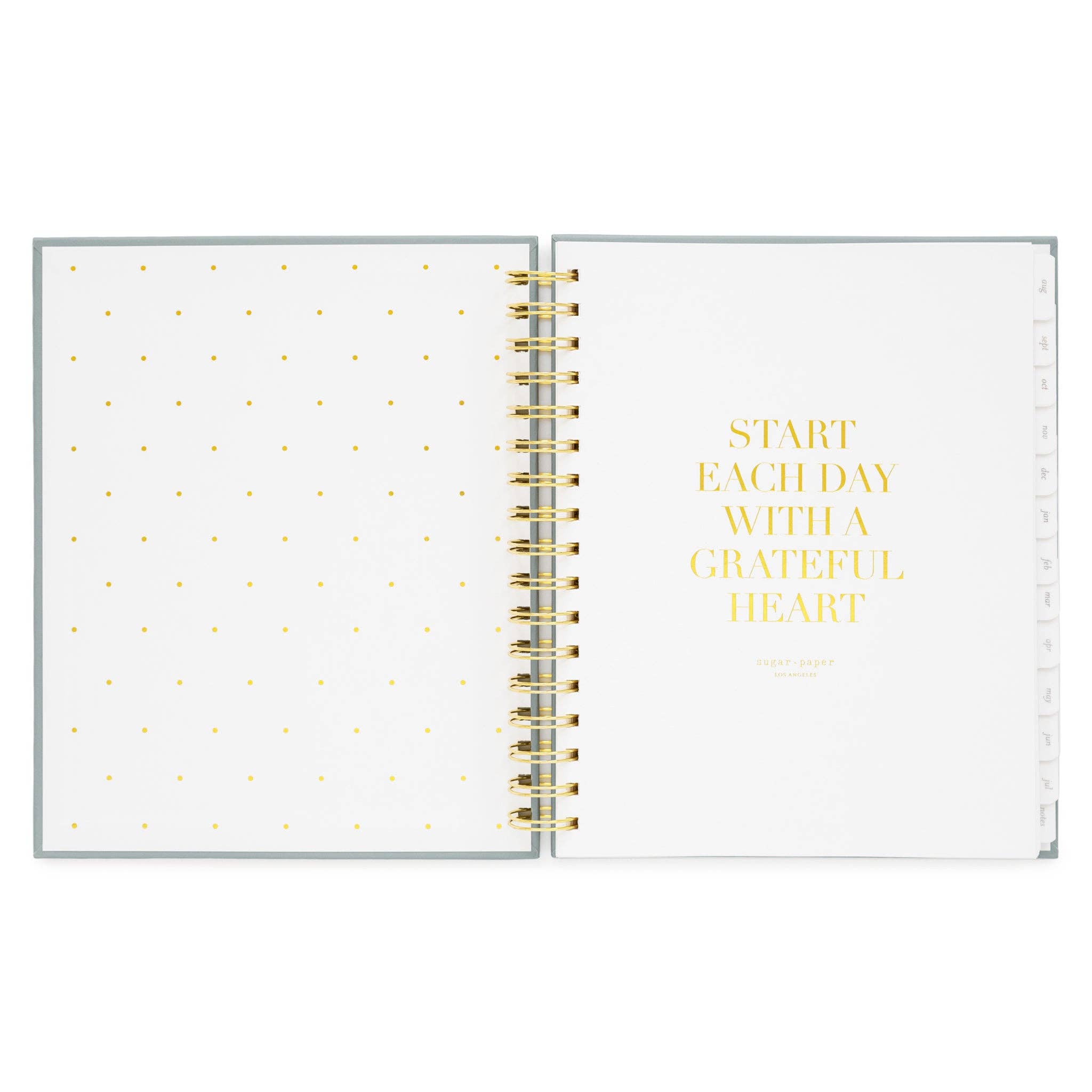 Sugar Paper - Wholesale Planner - 2025-2026 Dusty Blue Signature Spiral Academic Planner1
