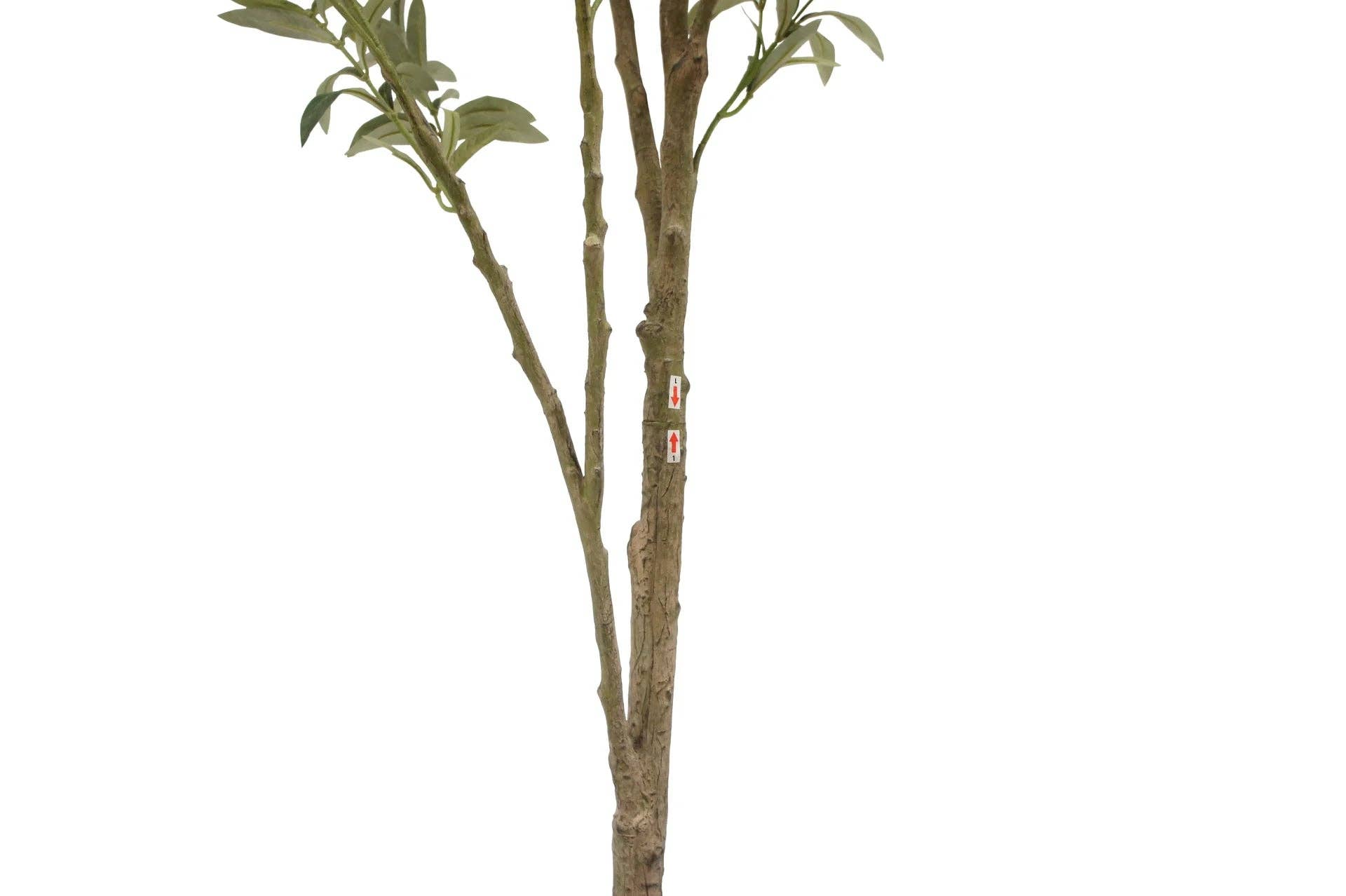 CG Hunter - Wholesale Artificial Plant - 7' Artificial Wispy Olive Tree4