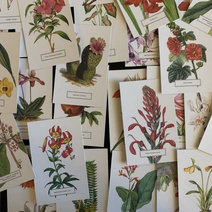 Magnifique Hearts - Wholesale Postcard Set - Vintage Style Botanical Postcards Prints | Lucky Dip Set Of