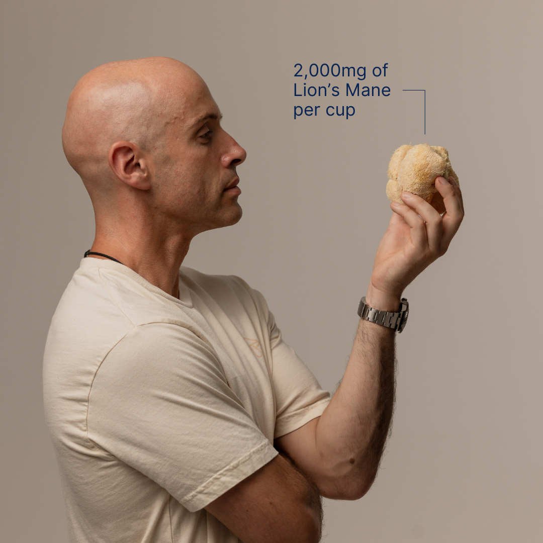 DIRTEA – wholesale Protein/superfood powder – Lion's Mane Mushroom Powder Pouch (240g)1