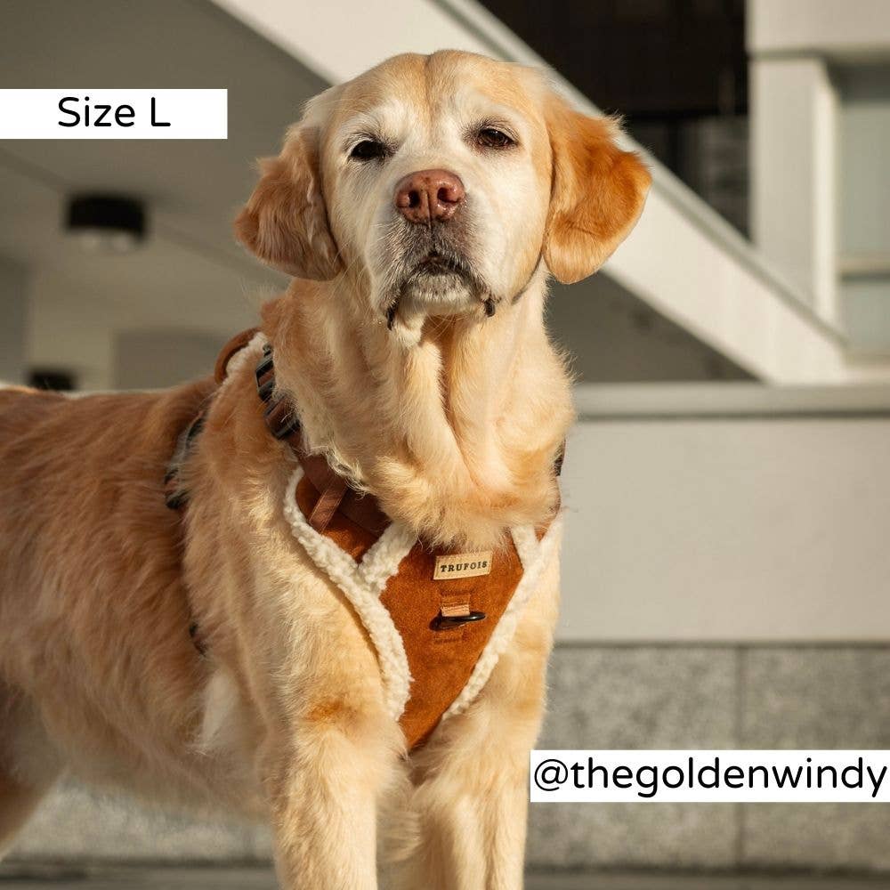 Trufois – wholesale Sele - Hund – Teddy Sisu Sele - Mocca1