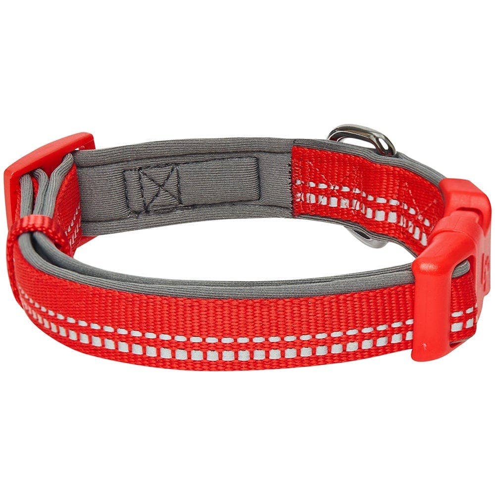Blueberry Pet - Vente Collier – chien - Collier de sécurité rembourré en néoprène souple réfléchissant 3M15