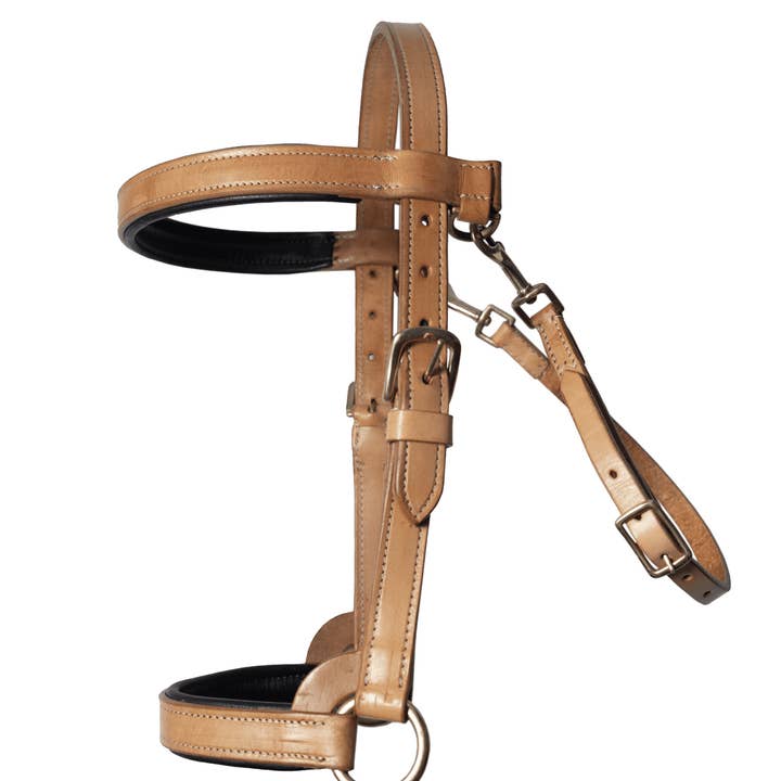 Harnais de présentation arabe pour la vente par Pro Classic Global