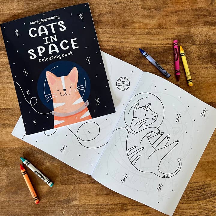 Cats in Space Colouring Book for wholesale by Brown Paper Fox