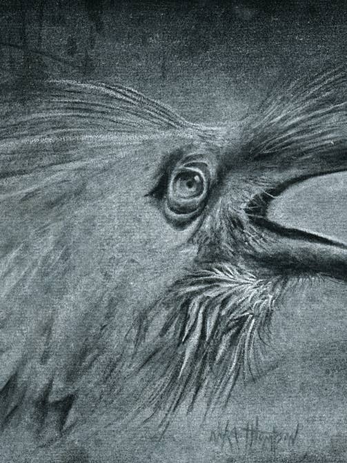 Dominic art print for wholesale by The Rots