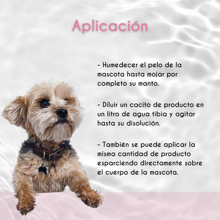 Valquer Laboratorios - Wholesale Pet Grooming Aid - Dog - Petuxe Concentrated Shampoo Granules 500g = 10L2