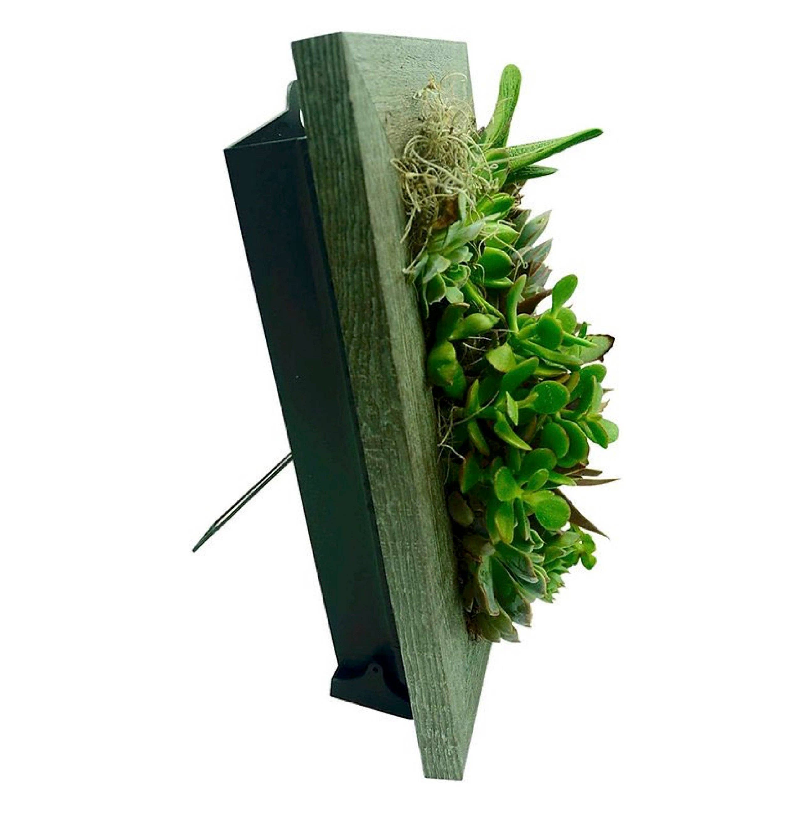 Portrait Gardens - Instant Vertical Planters - Wholesale Wall Planter - 8x10 Vertical Planter Kit5