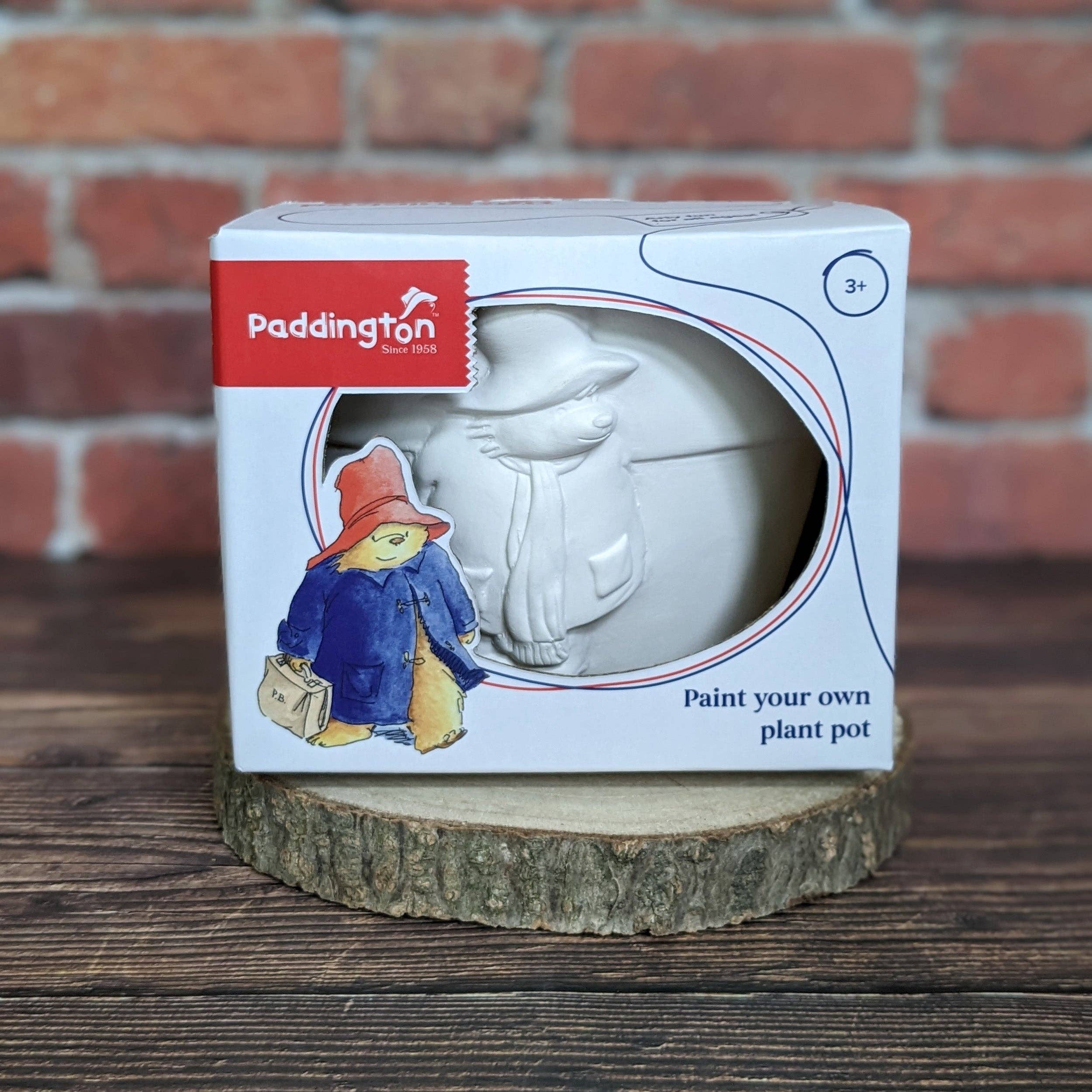 Robert Frederick Ltd – wholesale DIY craft kit – Child – Paddington Paint Your Own Plant Pot - Children's Craft Kit5