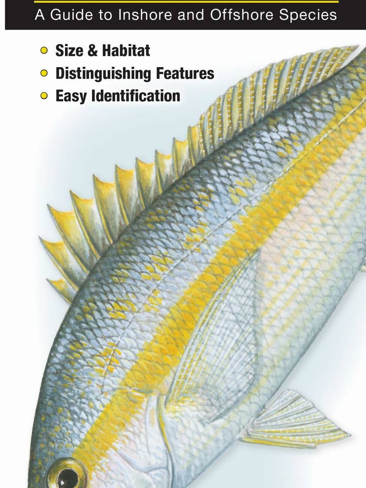 Saltwater Fishes of Florida for wholesale by Quick Reference Publishing, Inc