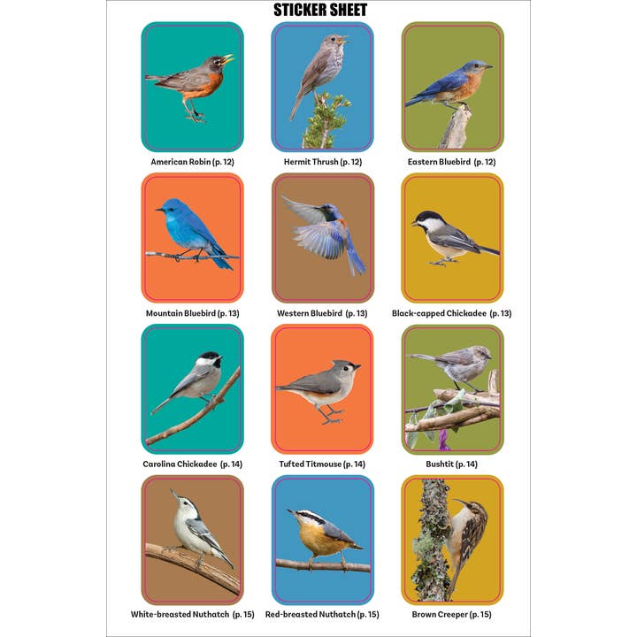 Peter Pauper Press - Wholesale Coloring & Activity Book - Kids & Baby - The Birder's Logbook: A Seek-and-Sticker Book for Budding Ornithologists7