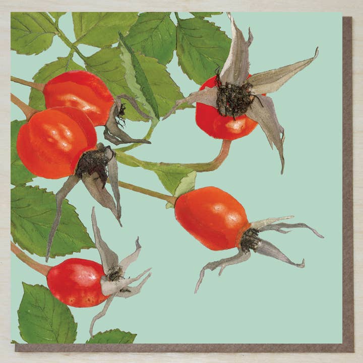 Rozenbottels (fruitkaarten) voor wholesale door Windsock Press