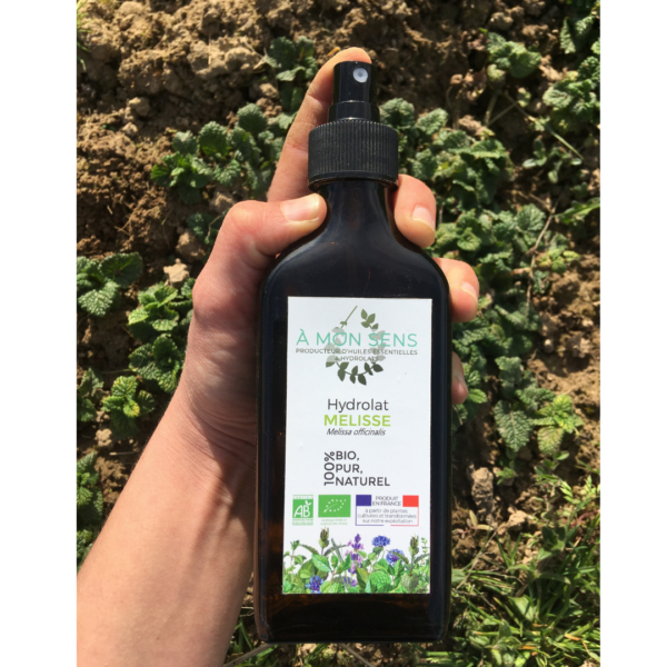 REMOVED BRAND - Vente Vaporisateurs - Pompe spray seule2