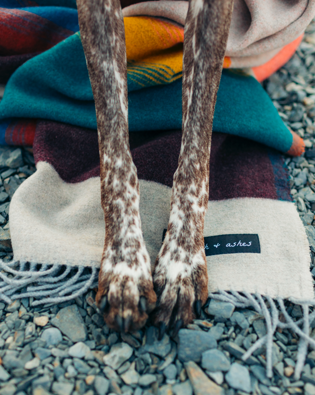 Sackcloth & Ashes - Wholesale Throw Blanket - Mountain Tropic8