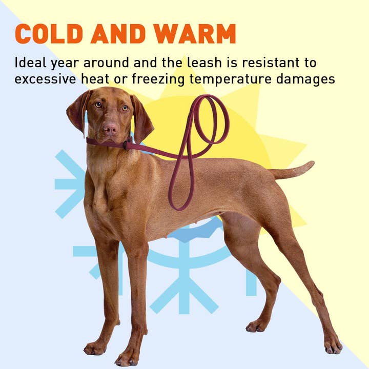 Dogline – wholesale Pet leash – Dog – Biothane Slip Lead28