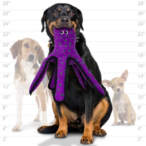 Tuffy Dog Toys - VIP Products – Großhandel Haustier-Quietschspielzeug – Hund – Tuffy Ocean großer Oktopus, strapazierfähiges und robustes Quietsch-Hundespielzeug4
