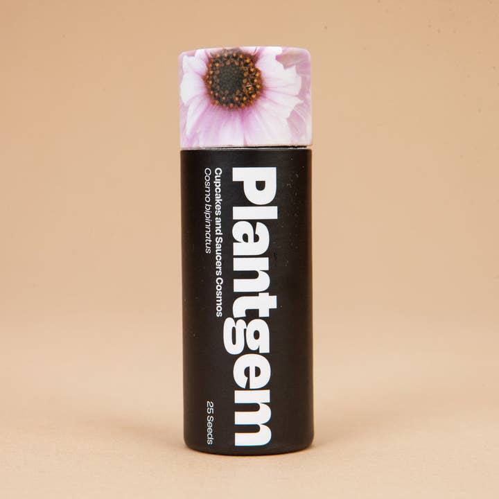 Cupcakes and Saucers Cosmos - 25 Seeds for wholesale by Plantgem