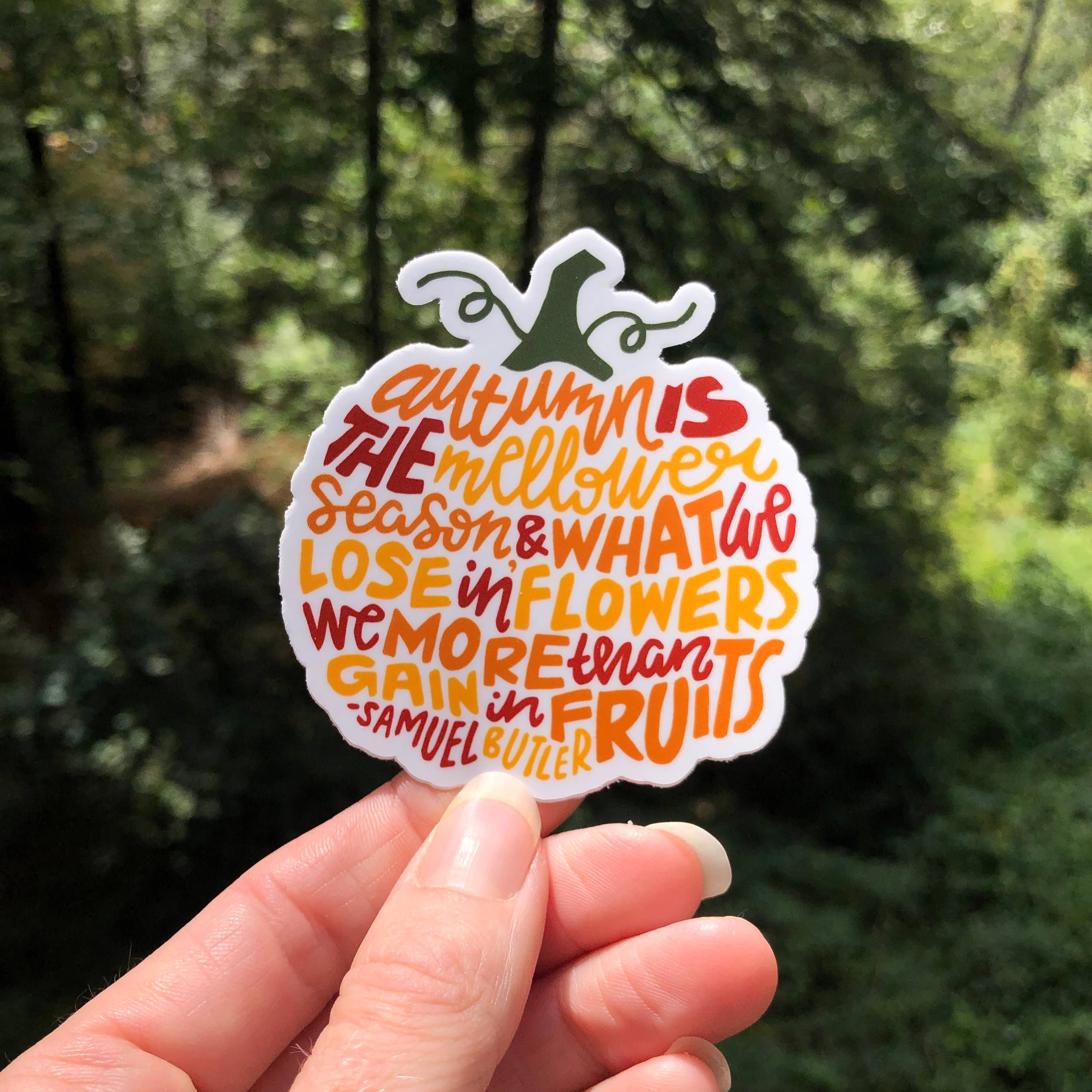 Wander On Words - Wholesale Sticker - Hand-Lettered Mellower Season Pumpkin Sticker1