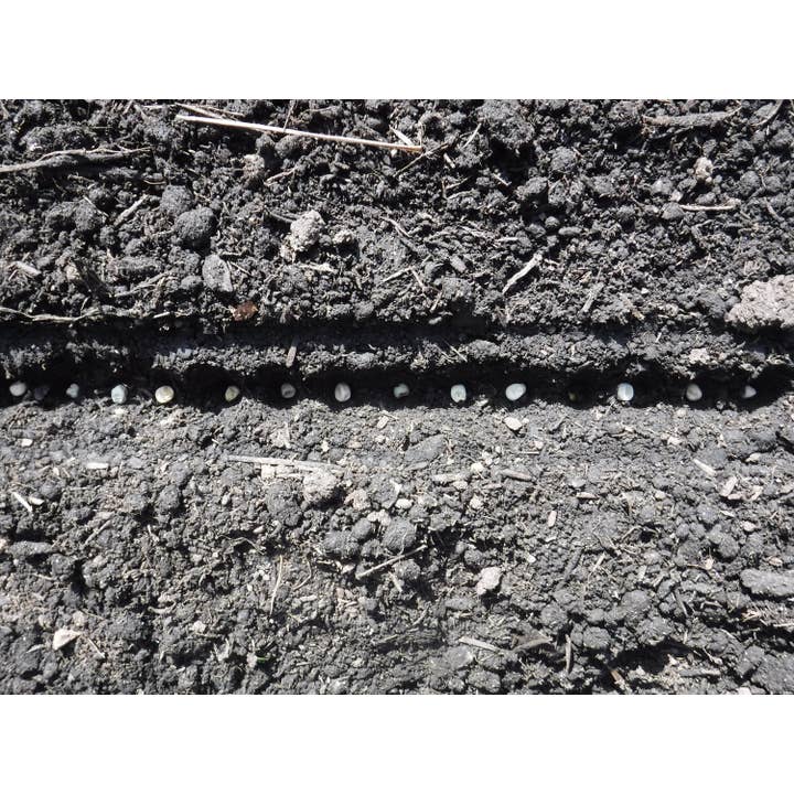 Gardinnovations - Vendita all'ingrosso Attrezzi da giardino - Scavatore e distanziatore per seminare i semi, nuovo3