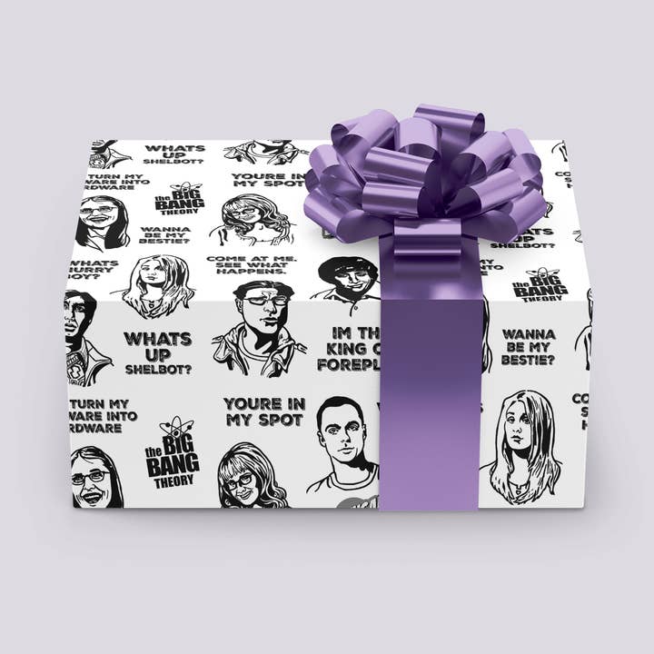 Big Bang Theory Gift Wrap 24"x36" Sheet for wholesale by Design Corner