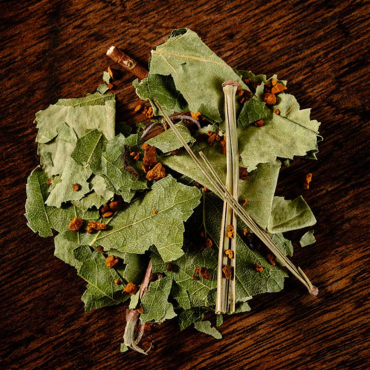 Immunity/Adaptogen - Natural Infusion - CHAGA for wholesale by Tea Tribes & Co.