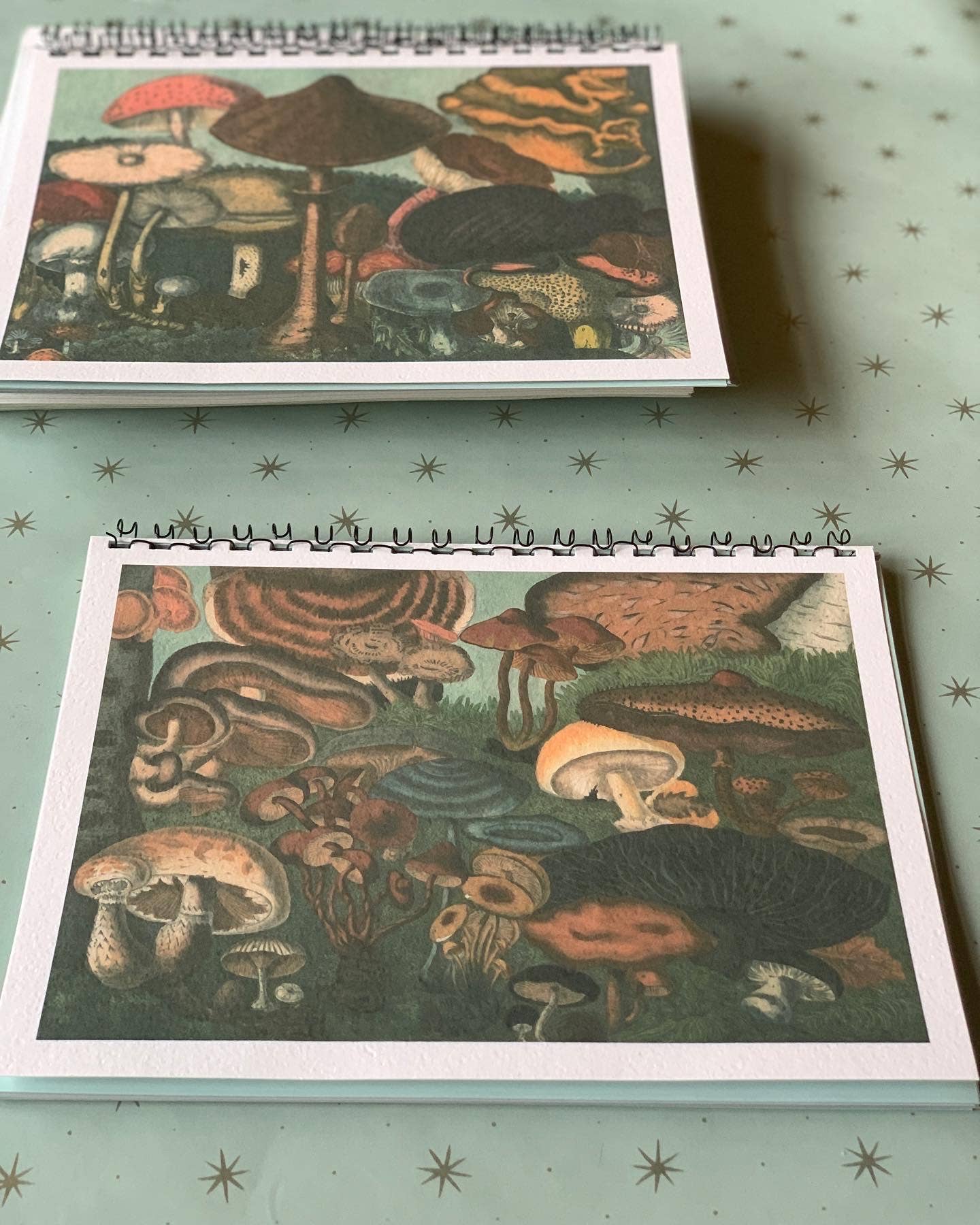 Parcel - Wholesale Notebook - ‘We are the Champignions’ Mushroom Foraging Notebook1