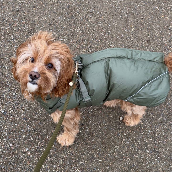 Puppy Bohème - Vendita all'ingrosso Cappotto - Cani - Cappotto invernale con imbracatura integrata - Verde foresta (senza maniche)5