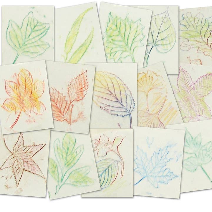 Plaques de frottage de feuilles – Kit de bricolage éducatif pour la vente par Roylco