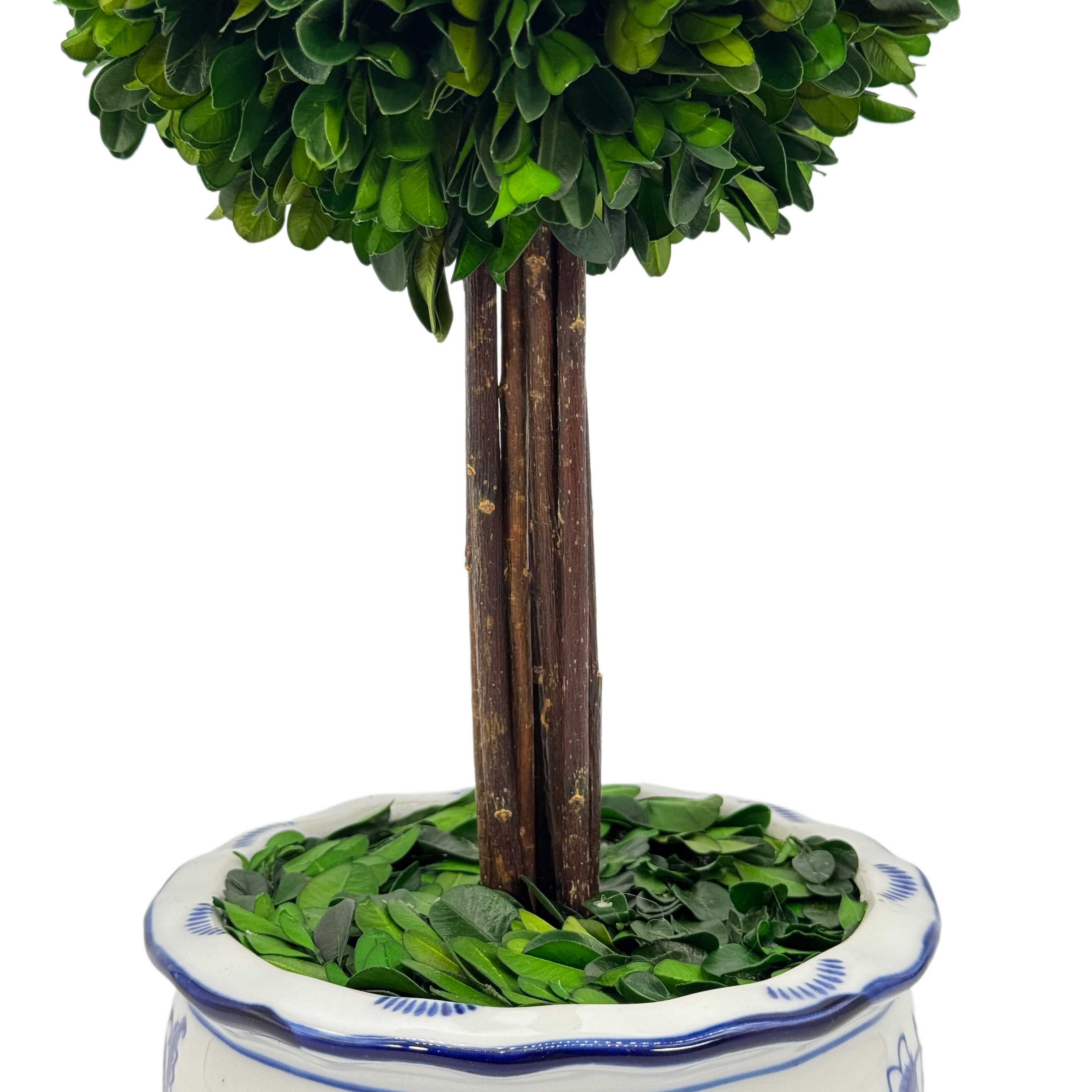 Galt International Company - Vente Plantes artificielles - Arbre topiaire en boule de buis dans un pot rond en céramique bleu et blanc2