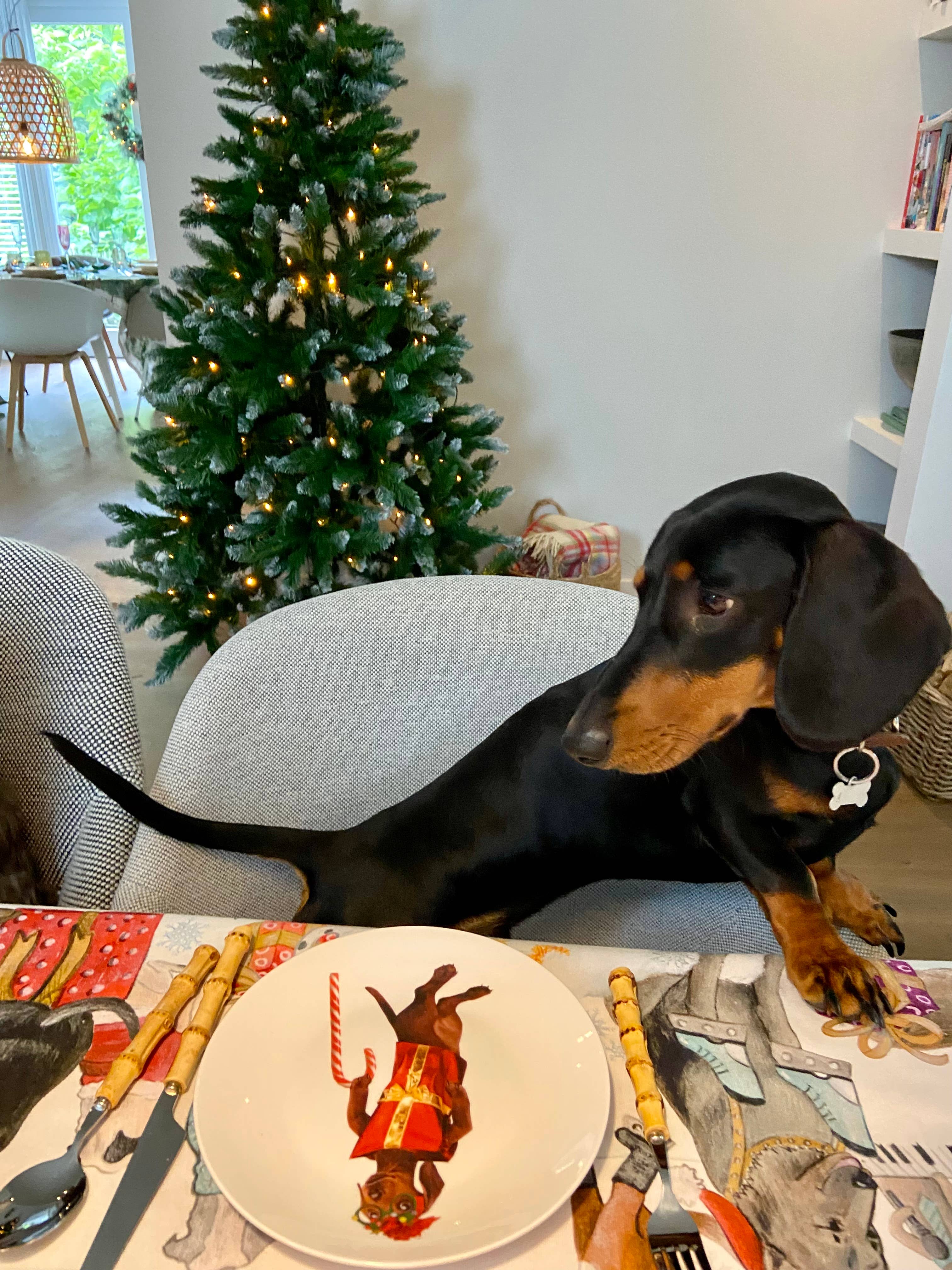 Bordy's – wholesale Tableware set – It's a wienerful Time - Set of 6 Breakfast Plates 18