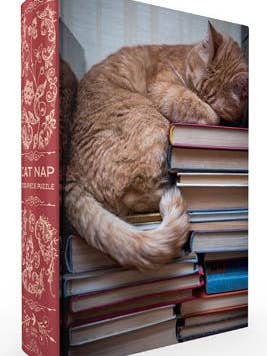 Cat Nap Book Box Puzzle, Clamshell for wholesale by Gibbs Smith