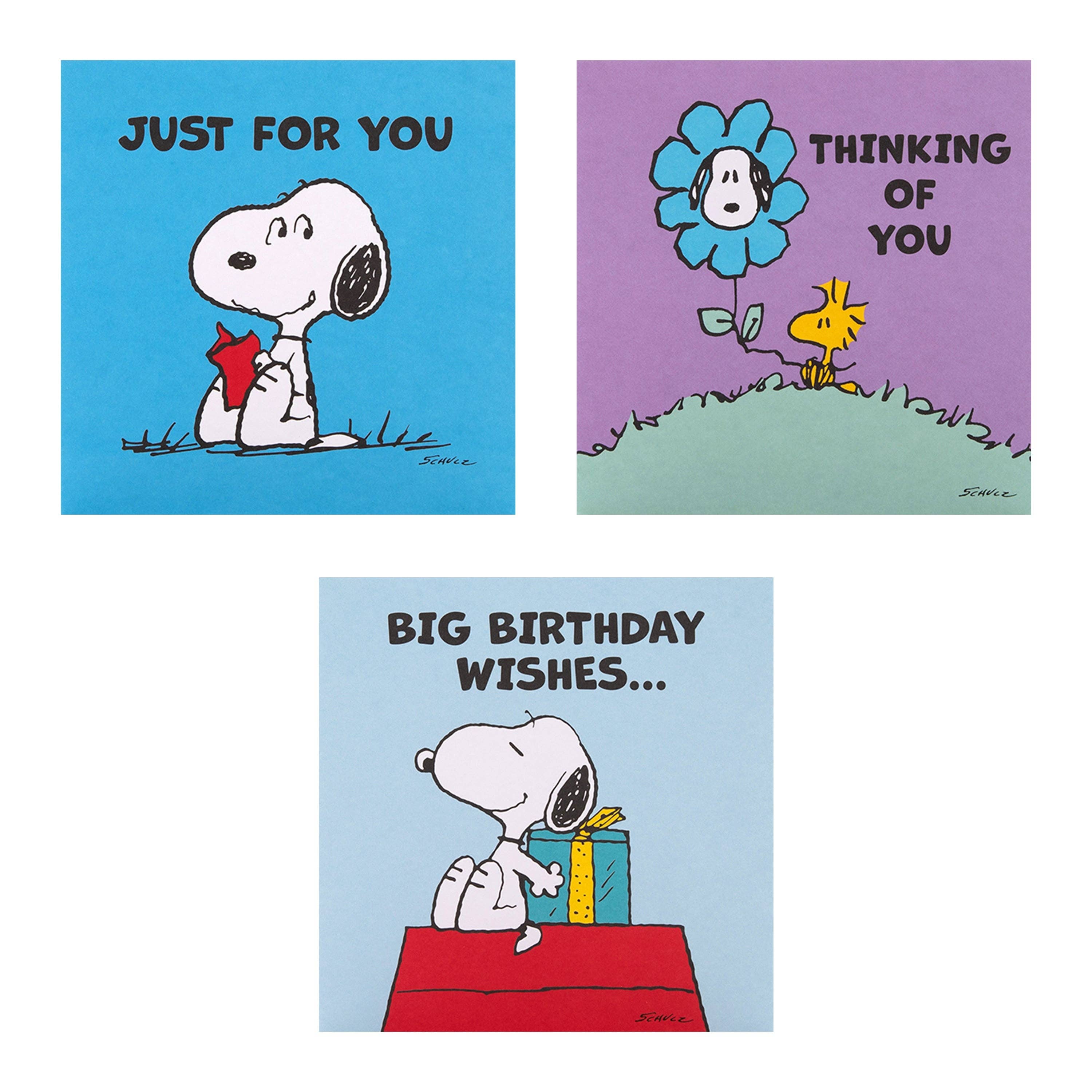 Hallmark - Wholesale Birthday Card - Greeting Cards Multipack - 10 PEANUTS™ SNOOPY Designs5